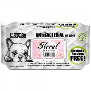 Absorb Plus Antibacterial Pet Wipes - Floral